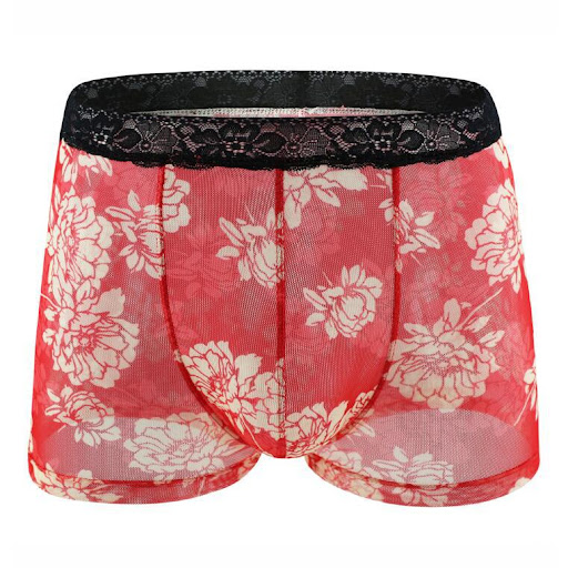 Title 5, New Mens Lace Boxer Briefs. Experience ultimat...