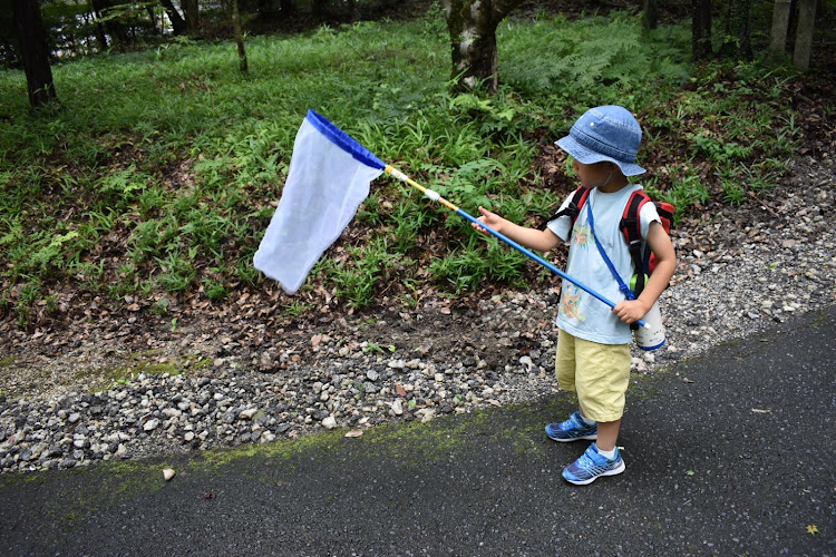 の投稿画像7枚目