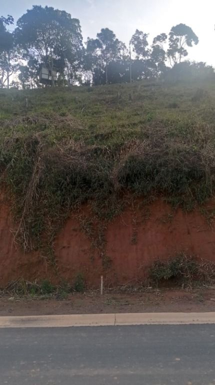 Terreno Residencial à venda em Ermitage, Teresópolis - RJ - Foto 2