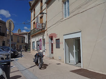 locaux professionnels à Saint-André-de-Sangonis (34)