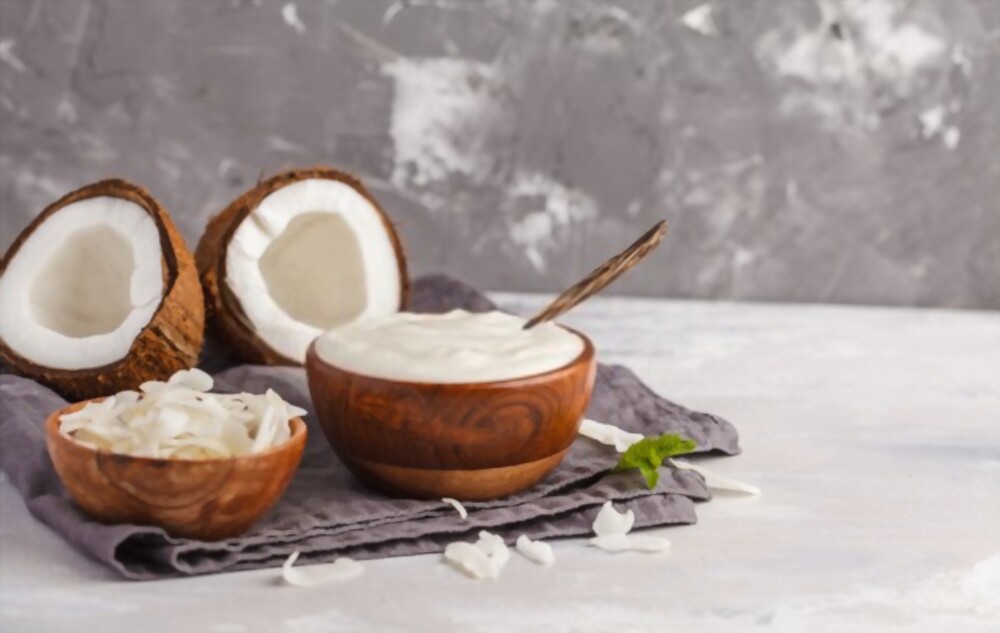 Coconut Yogurt Lectin Free