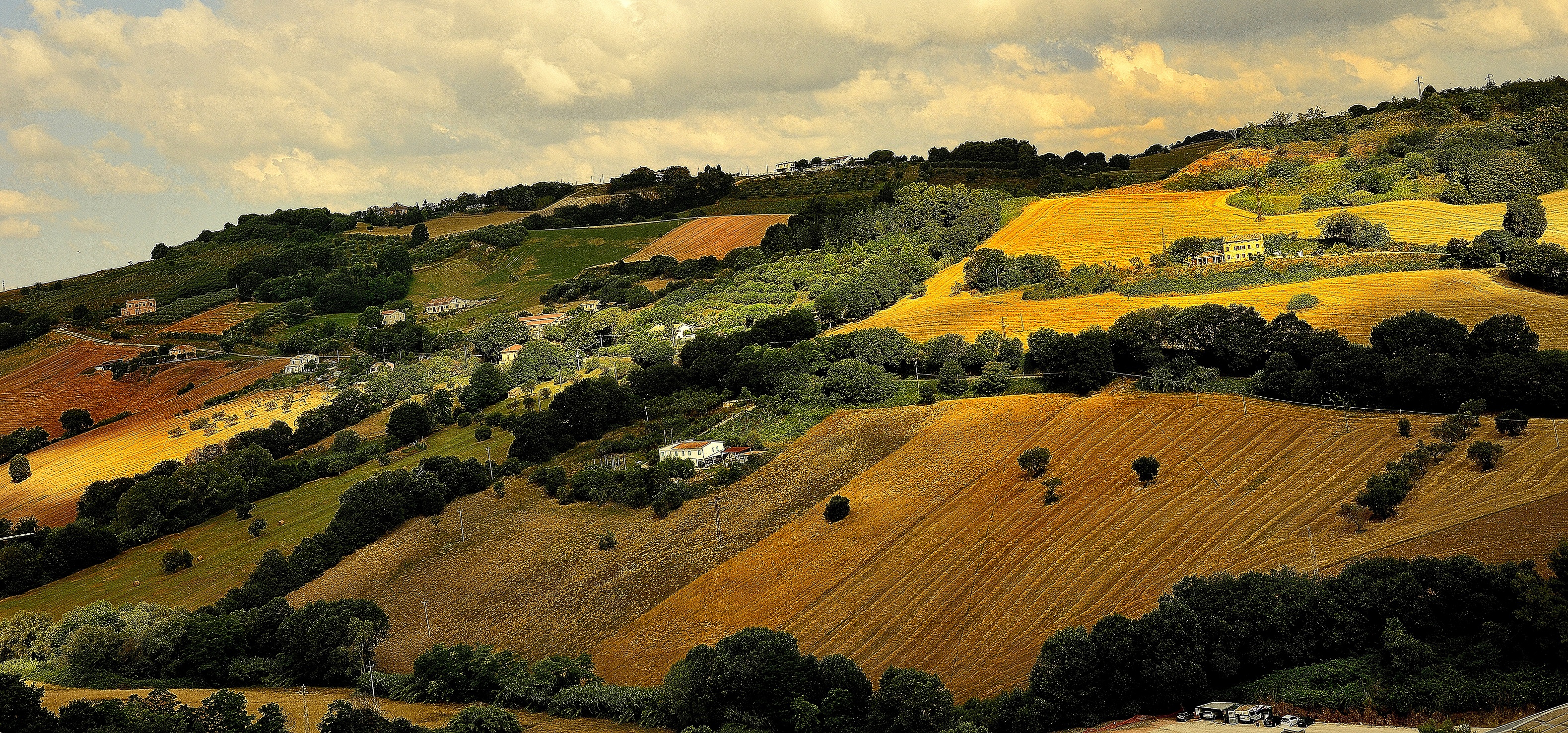 Terra coltivata darà i suoi frutti di Cary