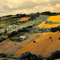 Terra coltivata darà i suoi frutti di 