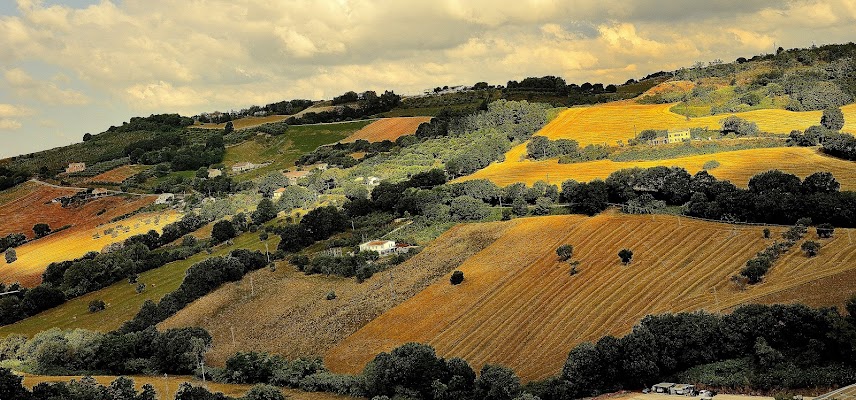 Terra coltivata darà i suoi frutti di Cary