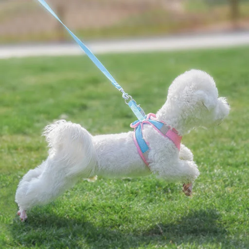 New Cat Dog Harness Vest Breathable Puppy Small Dog Collar and Leash Set Adjustable Pet Harness for Chihuahua Chest Stra
