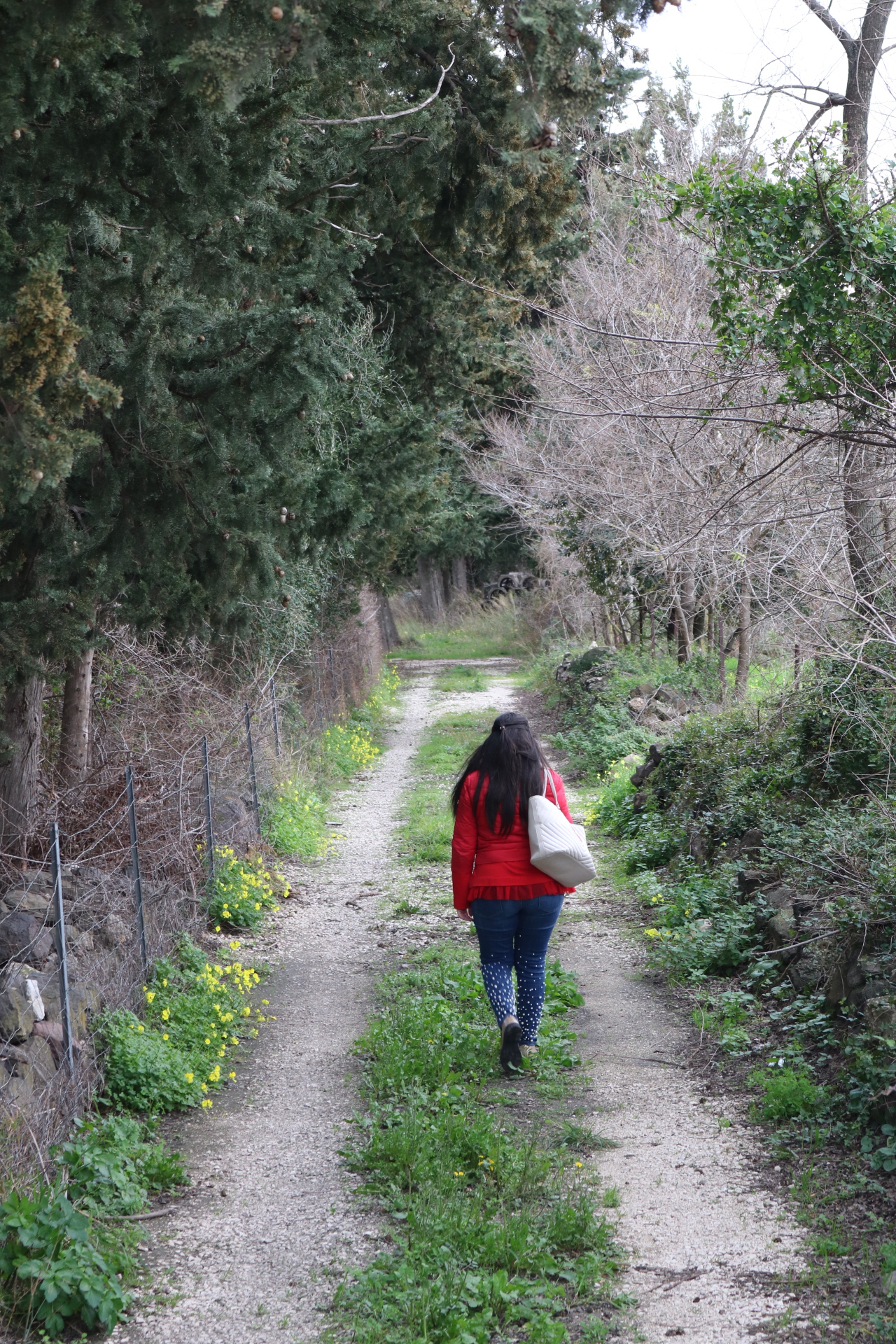 Promenade di anastasiaurru