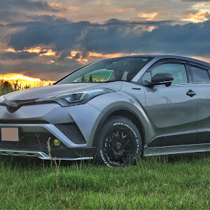 C-HR ZYX10