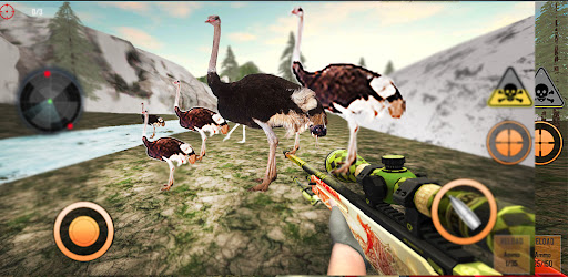 Wild Bird Ostrich Hunting 3D