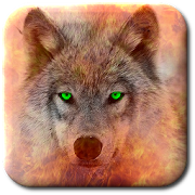 Wolves Live  Icon