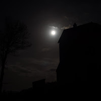 L'albero, la luna, il buio. di 