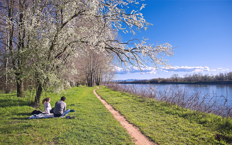 Prima domenica di primavera di Dariagufo