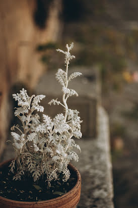 Wedding photographer Marco Vegni (marcovegni). Photo of 26 January 2023