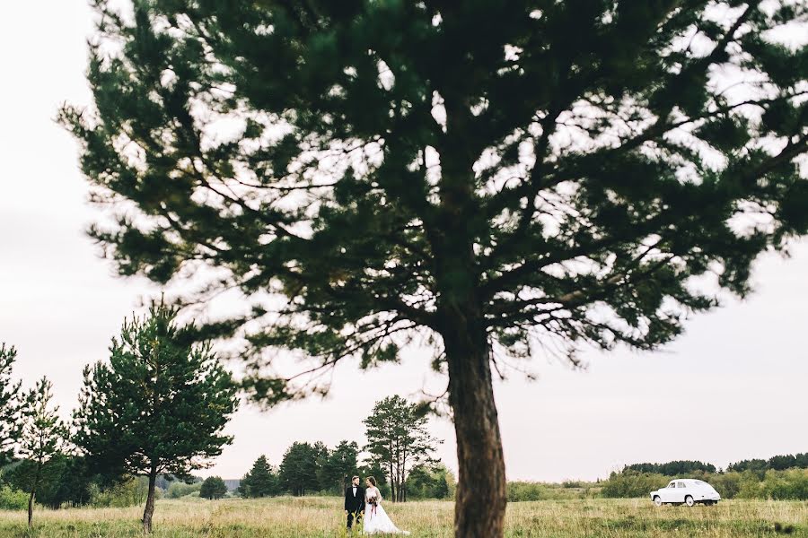 Fotógrafo de bodas Denis Kalinkin (deniskalinkin). Foto del 21 de marzo 2017