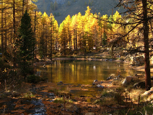 Il lago dorato di donyb