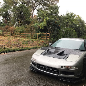 NSX