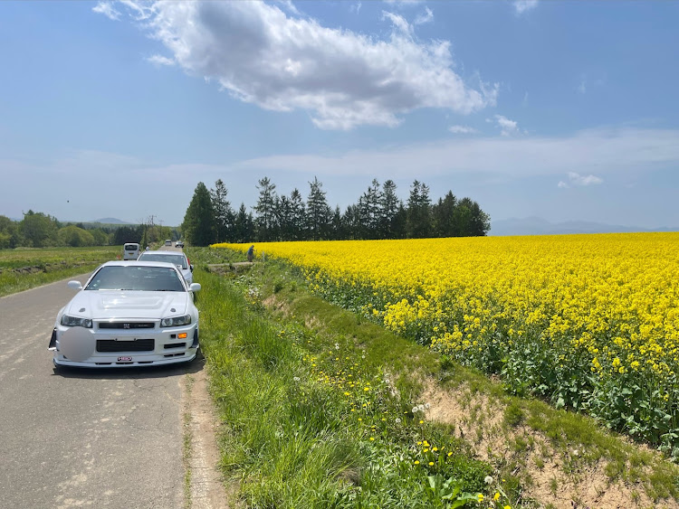 スカイライン GT-Rのおーちゃんさんが投稿したカスタム事例の投稿画像1枚目