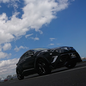 C-HR NGX50