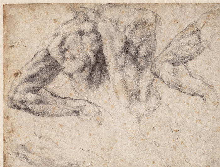 Michelangelo Buonarrotti, Ontwerptekening voor de Dag (schouderpartij), ca. 1525, Teylers Museum, Haarlem