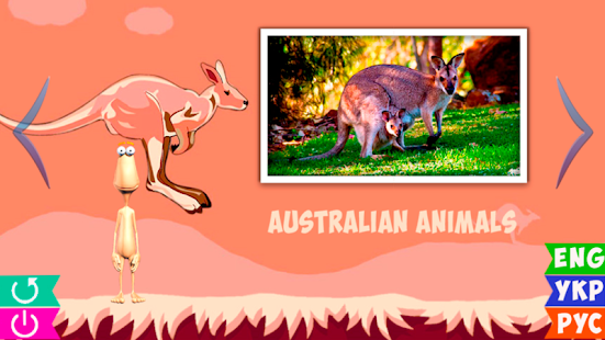  Animal World for Kids (Full)-   