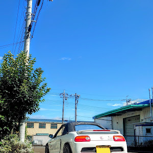 ビート
