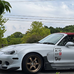 ロードスター NB6C