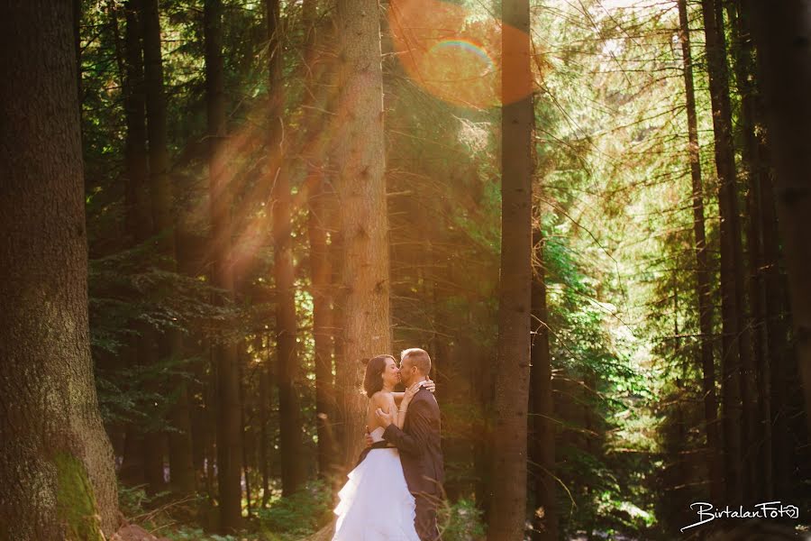 Fotógrafo de casamento Birtalan Barna (birtalanfoto). Foto de 22 de junho 2017