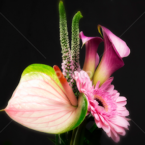 BEAUTY IN PINK by Oma Sjon - Flowers Flowers 2011-2013