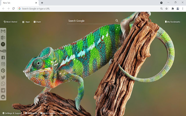 Chameleon Wallpaper