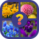 Download Guess The Flower For PC Windows and Mac 7.1.3z