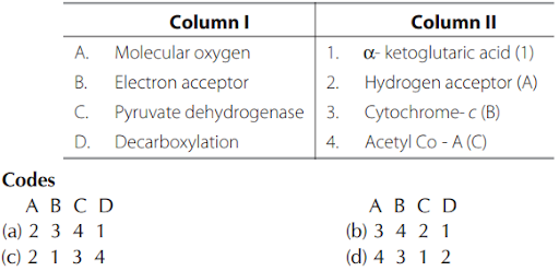 Mechanism of Aerobic Respiration