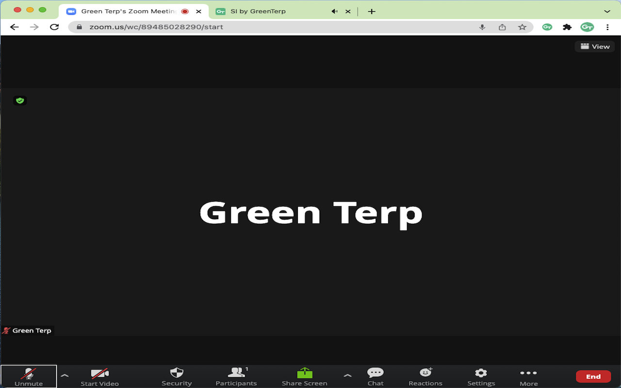 GreenTerp for Simultaneous Interpretation Preview image 3