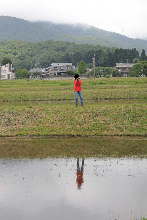 の投稿画像5枚目