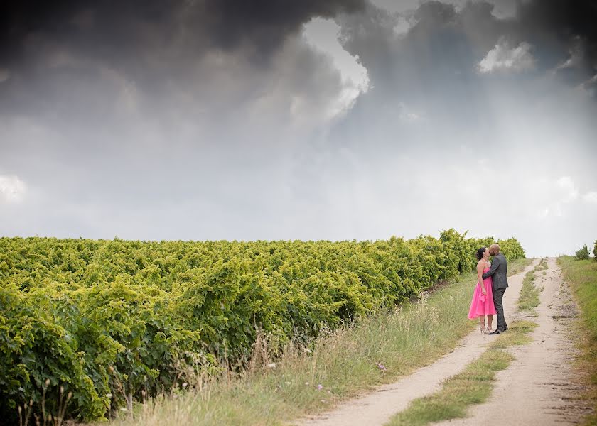 Fotograf ślubny Marco Lorenzi (lorenzi). Zdjęcie z 8 stycznia 2015