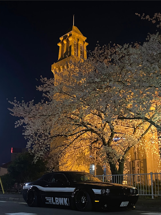 チャレンジャーの夜桜・寄り道撮影・discover_ct・LB★PERFOMANCE・桜とコラボ🌸に関するカスタム事例の投稿画像1枚目