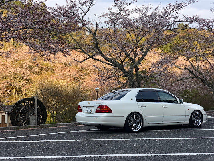 セルシオのサクラと愛車・いつもイイね＆コメントありがとうございます🙇‍♀️🍀・4月もよろしくお願い致します🌸・添加剤・過走行の鑑に関するカスタム事例の投稿画像4枚目