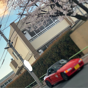 ビート PP1