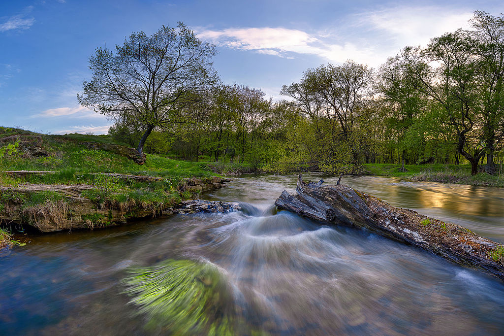 1024px-Швидка_квітнева_вода.jpg