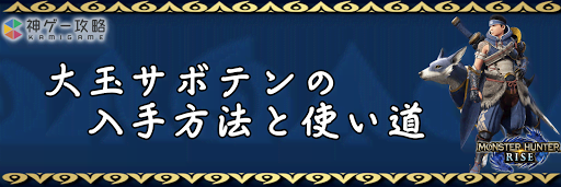 大玉サボテン