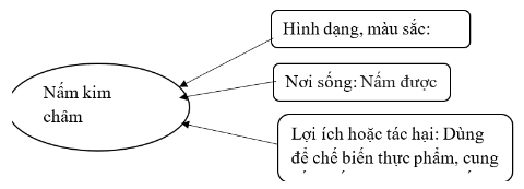 A diagram of a person's face

Description automatically generated