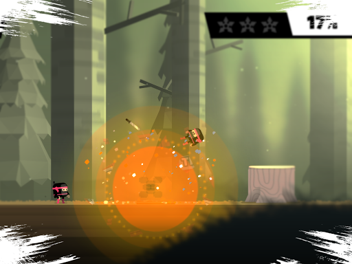 The Last Ninja Twins