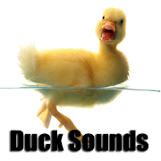 Duck Sounds  Icon