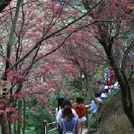 台北奧萬大樂活莊園