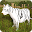 Pregnant Tigress Jungle Survival Story Download on Windows