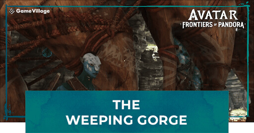  The Weeping Gorge 