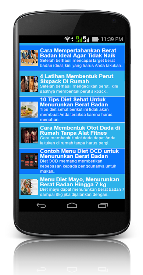 Menu Diet Mayo Di Indonesia Di