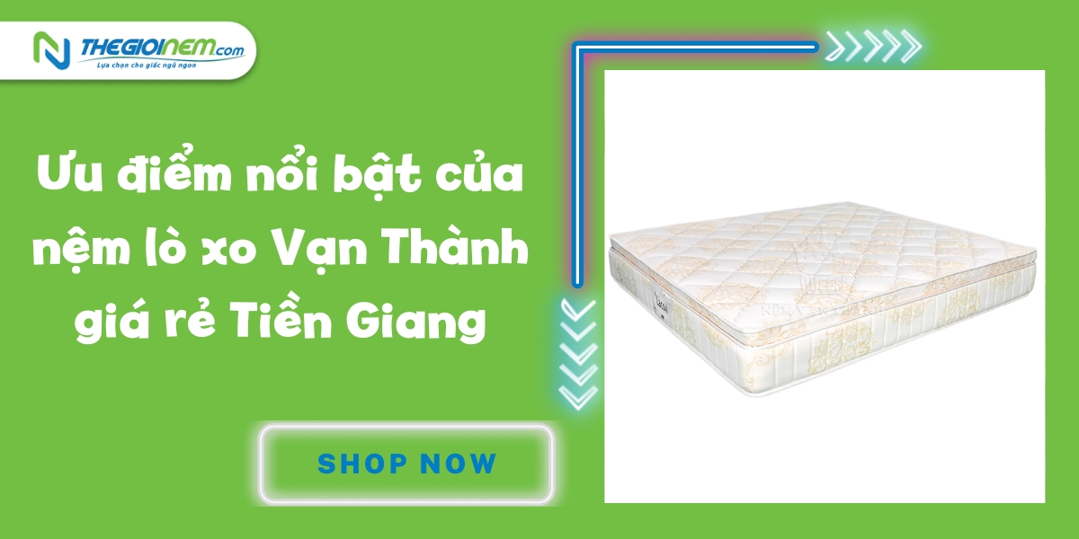 Đại lý nệm lò xo Vạn Thành giá rẻ Tiền Giang - Thế Giới Nệm