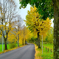 Colori dell'autunno di 