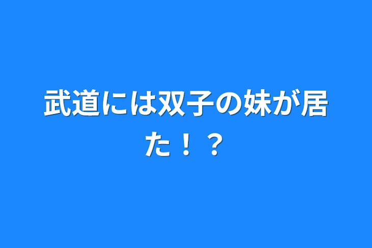 「武道には双子の妹が居た！？」のメインビジュアル