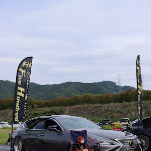 LS GVF50