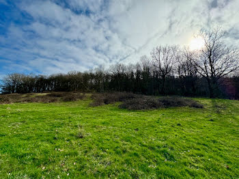 terrain à Saint-Symphorien-de-Marmagne (71)